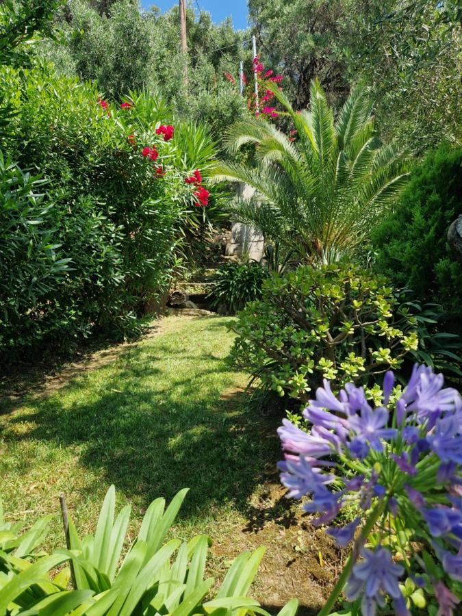 Villa Olivia Pentati Ngoại thất bức ảnh
